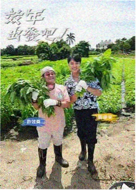 移动端加载优化配图